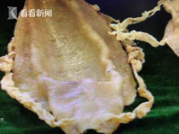 www.kaiyun.cn-兰大核学院公布研究生调剂拟录取名单，虐猫考生未在其中，如何看待把个人品行纳入研究生复试标准？