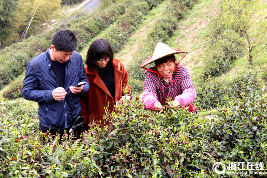 开云app官方最新下载-今年唯一日全食:太阳被吞成指环