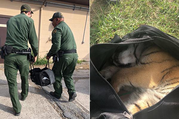 必威登录平台相关推荐3