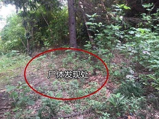 半岛体肓综合下载相关推荐8