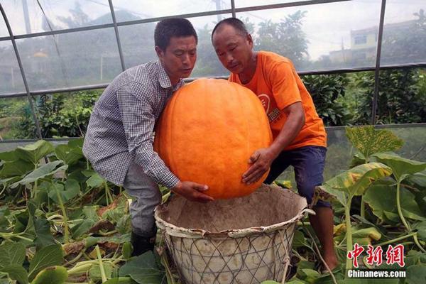 新葡萄官网开户