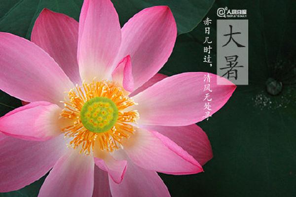 6686客户端-活了20多年�，第一次知道鼠标还能这么用...