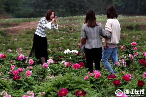 千赢在线国际相关推荐2”