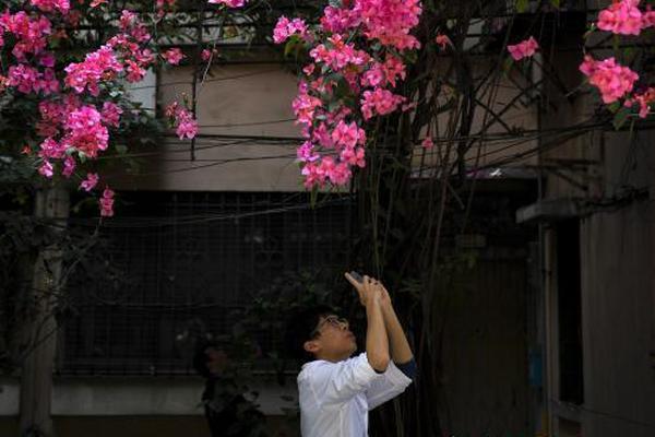 开云苹果版下载安装-开云苹果版下载安装