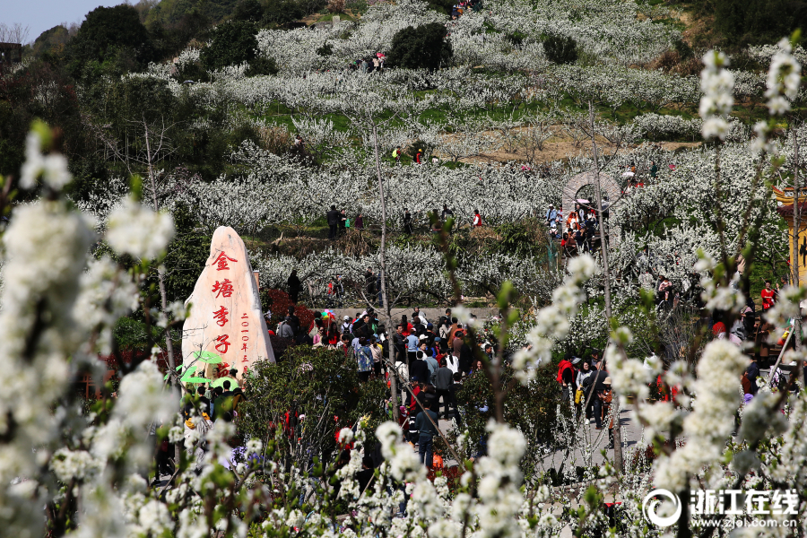 半岛在线登录官网相关推荐5”