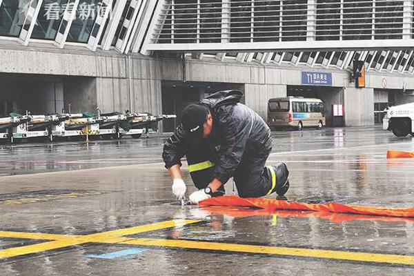 半岛在线登录官网-天津发布自贸试验区数据出境管理负面清单