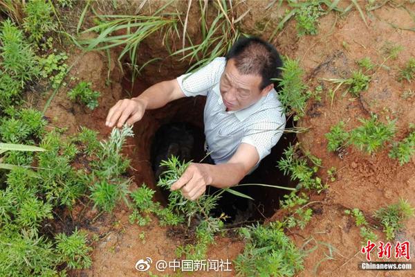 爱游戏手机版登录入口相关推荐8