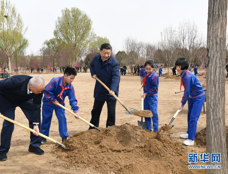 大本赢娱乐官网相关推荐8