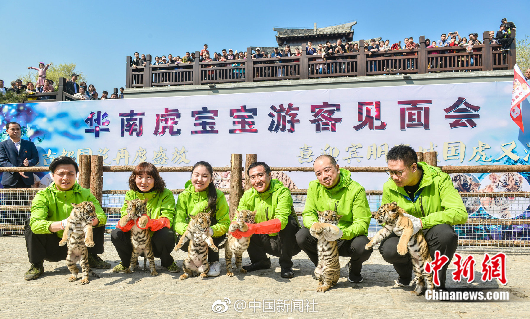 新京葡萄网站相关推荐9