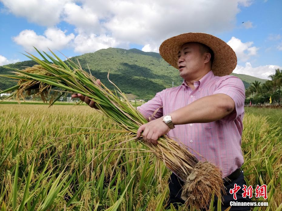 博亚体育app官网入口-徐汇滨江清晨出现“暴骑团”
，上海交警
：已进行相应处罚