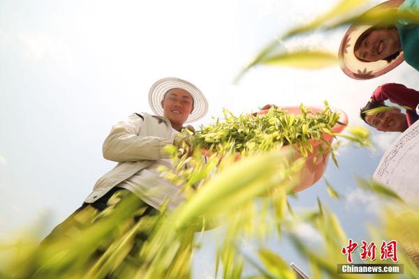 最火的捕鱼app相关推荐2”