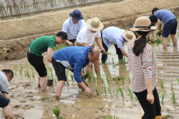 半岛在线登录入口相关推荐8