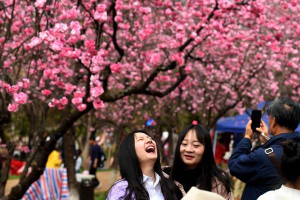 半岛娱乐下载-女子因蒜苗被轧怒砸奔驰 警方通报