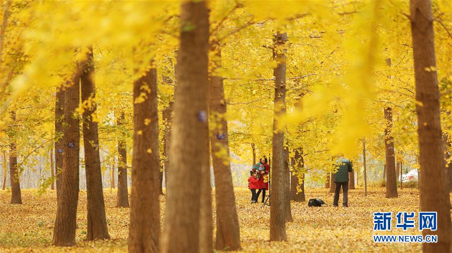 半岛最新登录网址-半岛最新登录网址