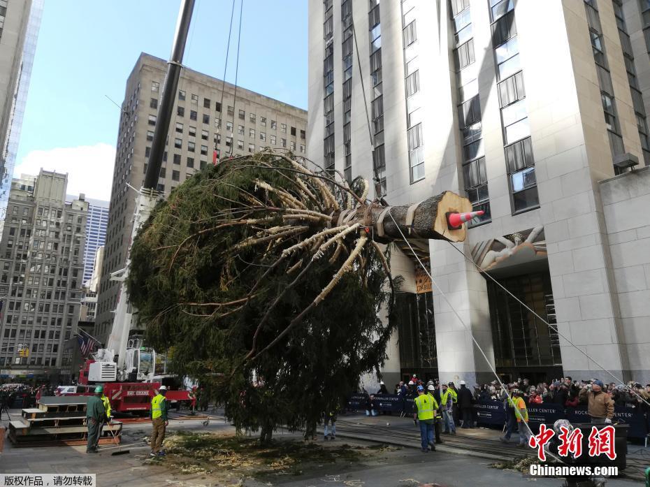 米乐登录平台-米乐登录平台