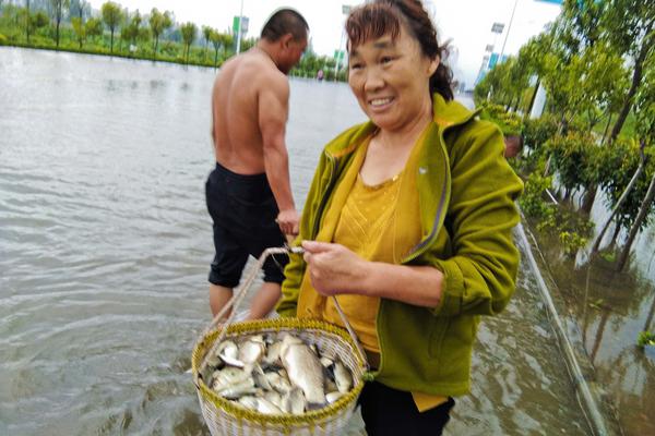 博奥体育app在线下载相关推荐3