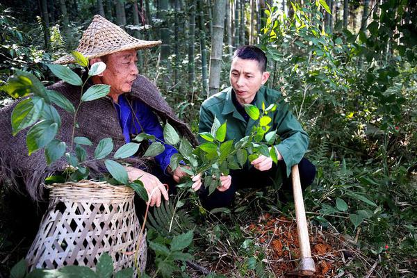 bob官方体育app相关推荐9