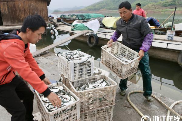 半岛在线登录入口相关推荐6