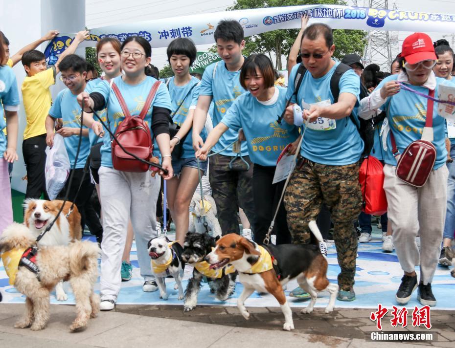 欧宝ob官方网站相关推荐2”