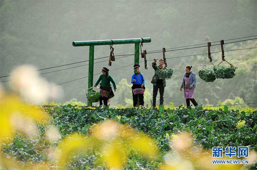 开云网页版相关推荐7