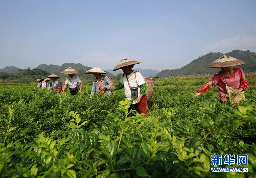 火博游戏平台-伊朗伊斯兰革命卫队：一定对以色列袭击作出回应