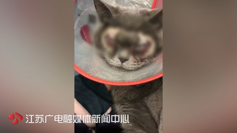 亚搏版相关推荐10