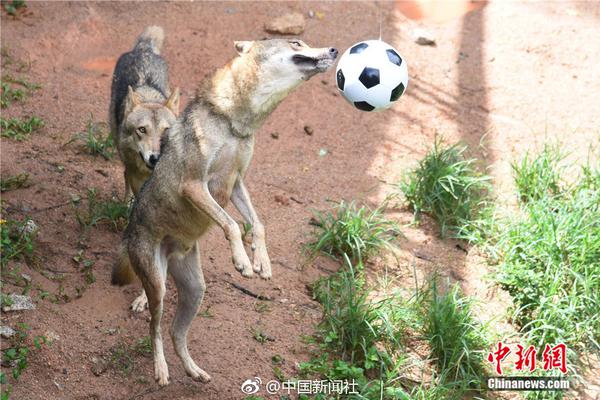 壹号平台注册登录相关推荐1