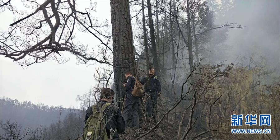 注册送388试玩金可提现-有苹果15要不要申请贫困生