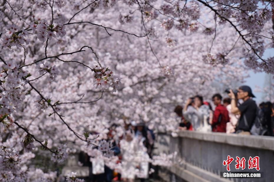 澳门葡萄京网址相关推荐8