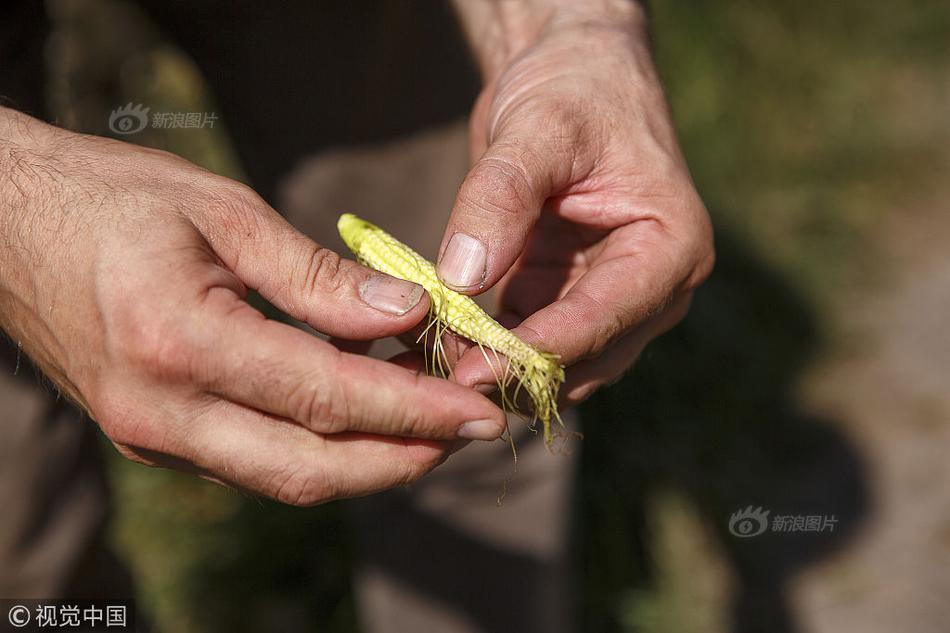 开云手机官方登录相关推荐2”