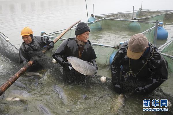 银河游戏娱乐登录相关推荐10