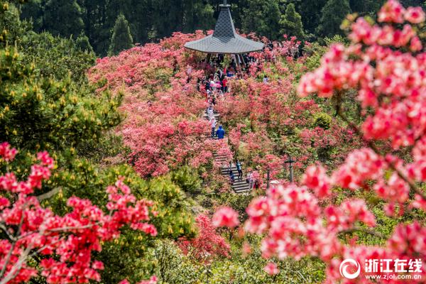 天博tb登录界面相关推荐6