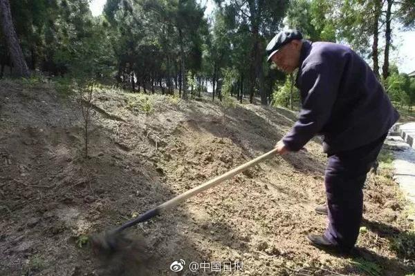 半岛在线体育网-半岛在线体育网