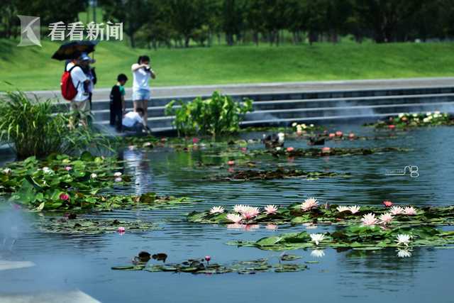 摩杰平台注册开户相关推荐5”