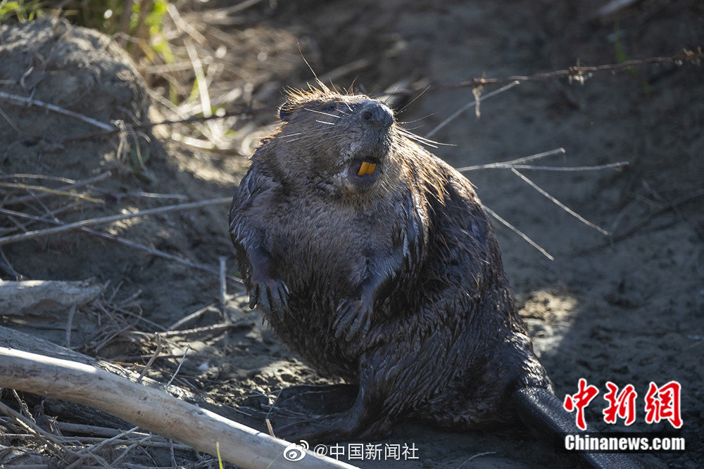 博亚娱乐官网相关推荐7