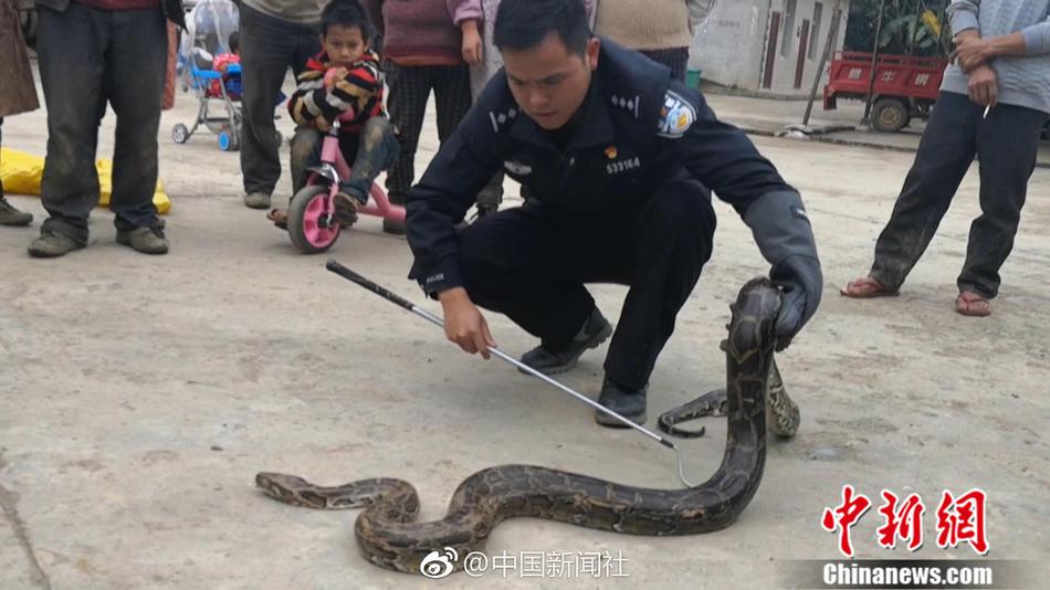 必一运动b官网-马上评丨有虐猫经历，还能上研究生么？