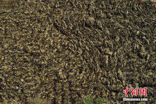 澳门吉尼斯人游戏平台下载相关推荐1