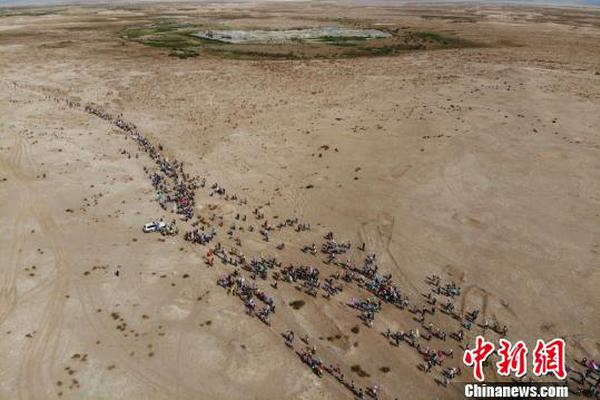 澳门吉尼斯人游戏平台下载-大数据请推给北京理工大学的四位大神们	！