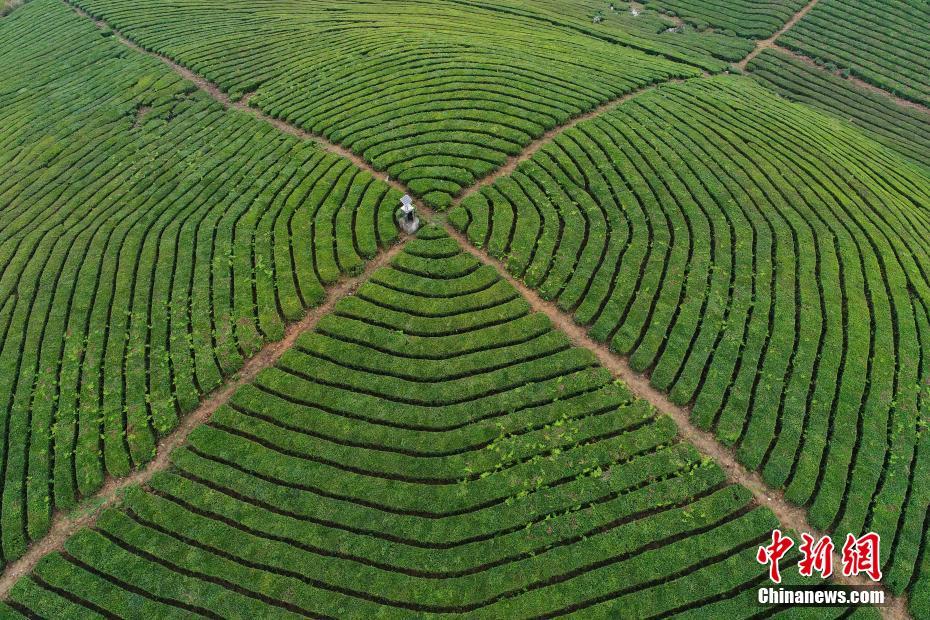 星空体育在线网页版相关推荐4