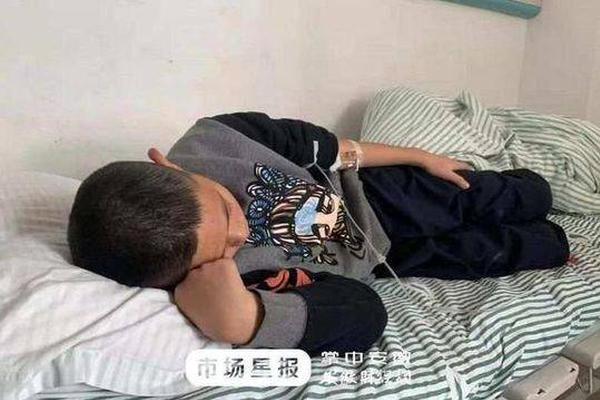 半岛网页版登录入口相关推荐6