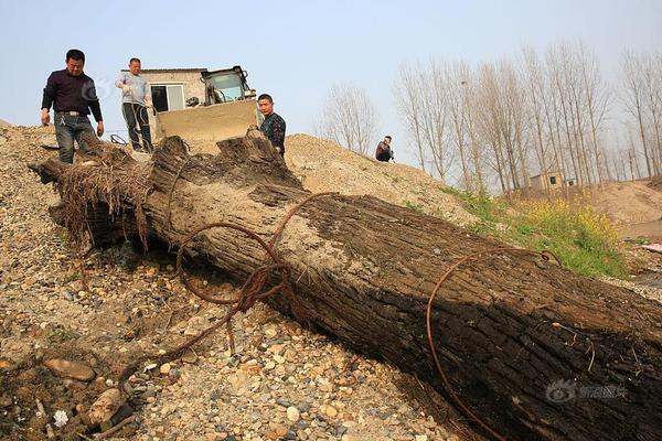 半岛在线体育网相关推荐5”