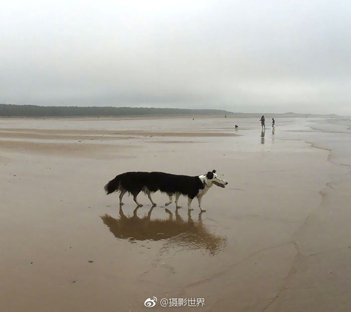 半岛在线登录入口相关推荐4