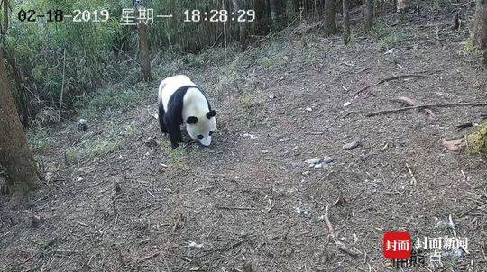 乐鱼在线登录平台相关推荐10