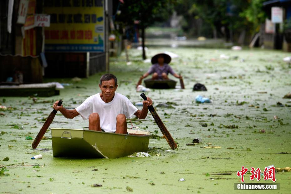 开云官方在线登录2024相关推荐6