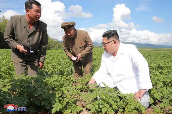 新京葡萄网页版相关推荐2”