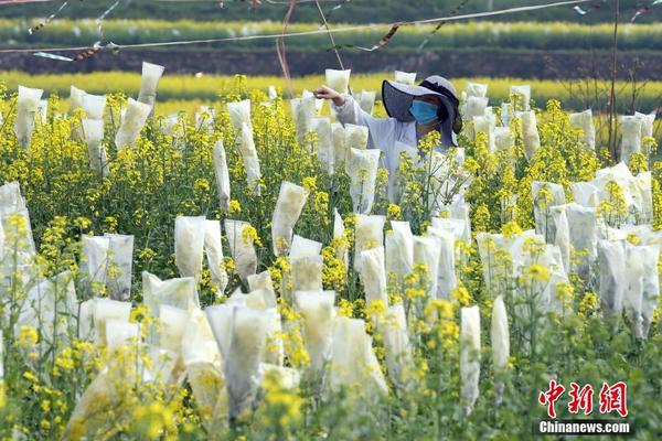 8868体育官网登录入口-4 月 9 日，沙特超级杯半决赛�，利雅得胜利 1:2 利雅得新月
，C 罗肘击染红，如何评价这场比赛
？