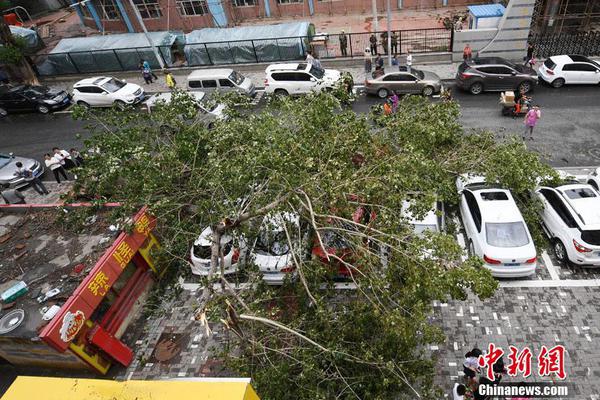 金狮贵宾线路检测相关推荐8