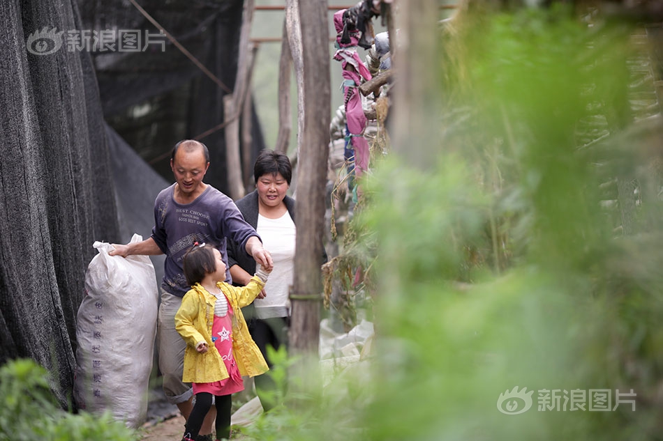 半岛在线体育网相关推荐3