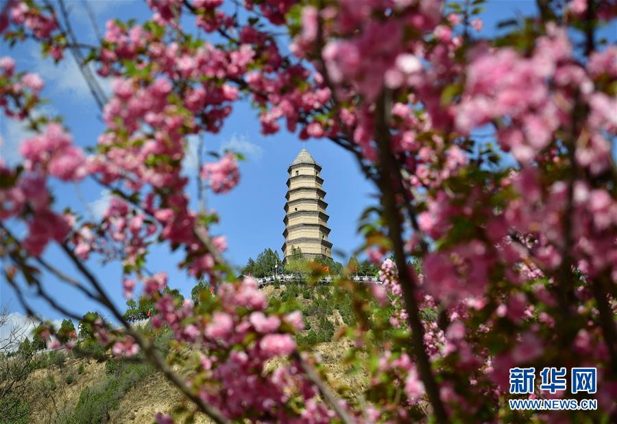 问鼎平台注册登录地址