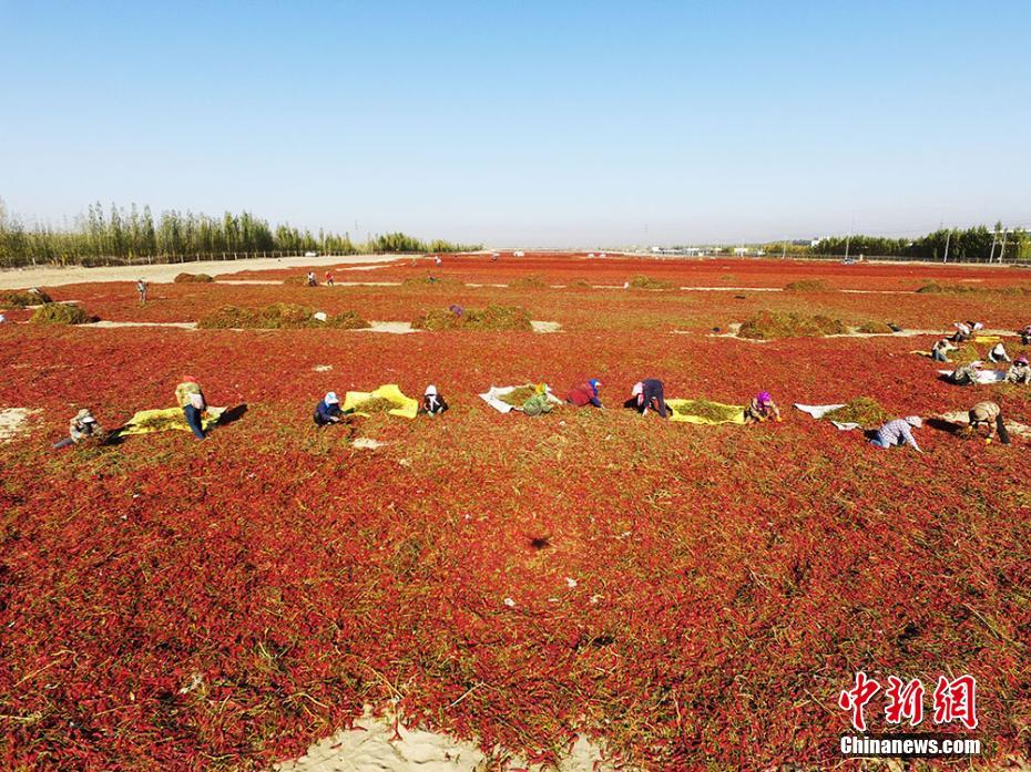 银河游戏娱乐登录-银河游戏娱乐登录